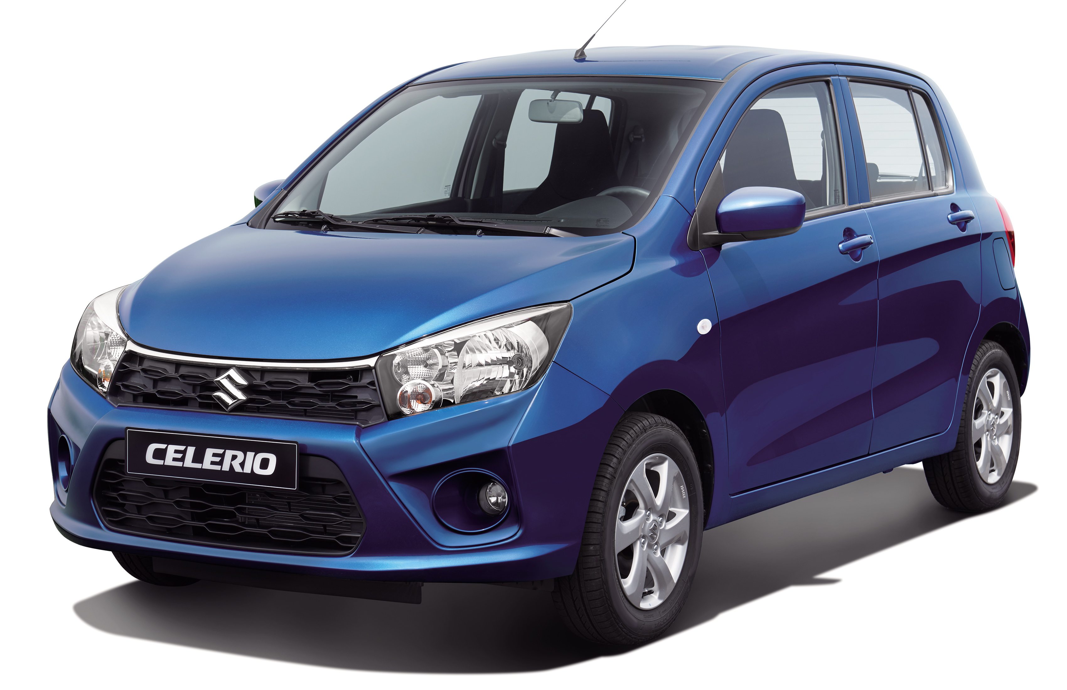 celerio-azul