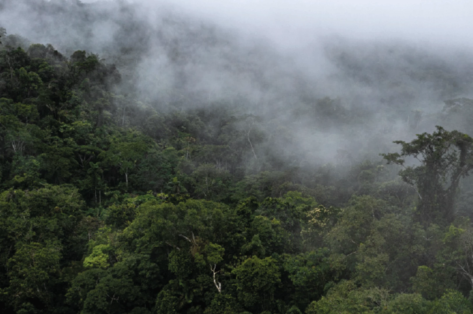 metas climáticas 2023