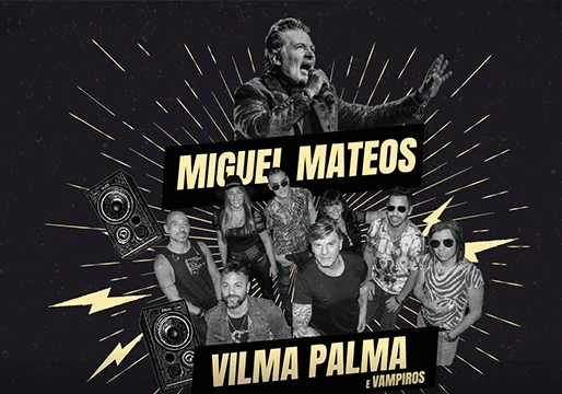 concierto vilma palma