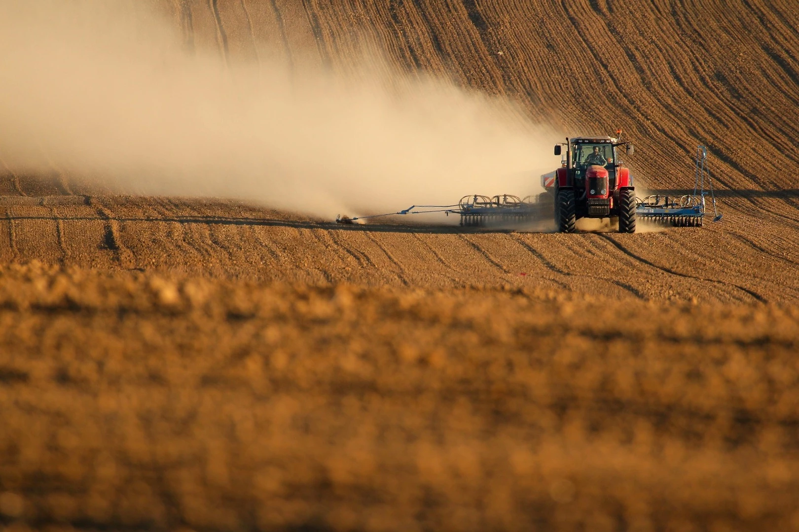 agropecuario_shutterstock_393984304