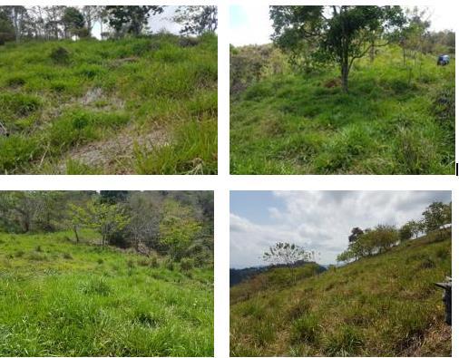 Matagalpa (1)