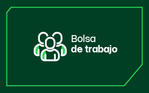 cards- bolsa-de-trabajo