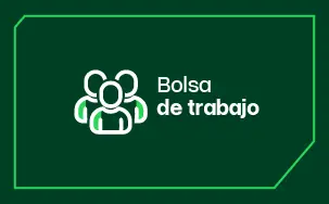 cards- bolsa-de-trabajo