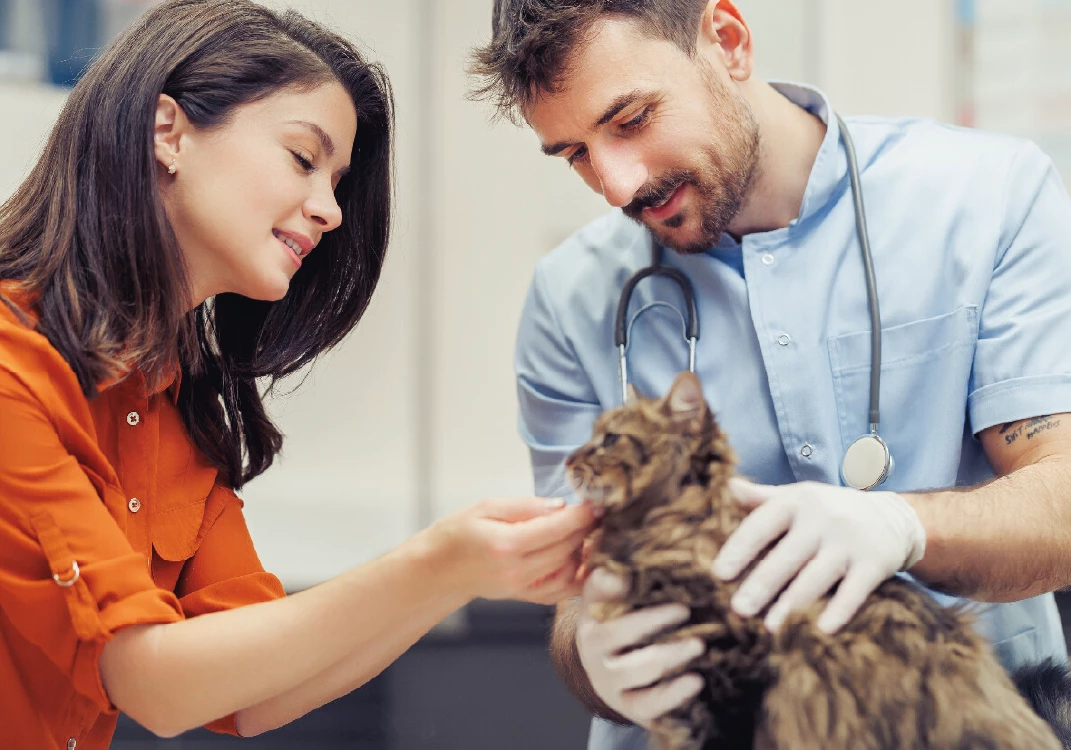 veterinaria-quezada